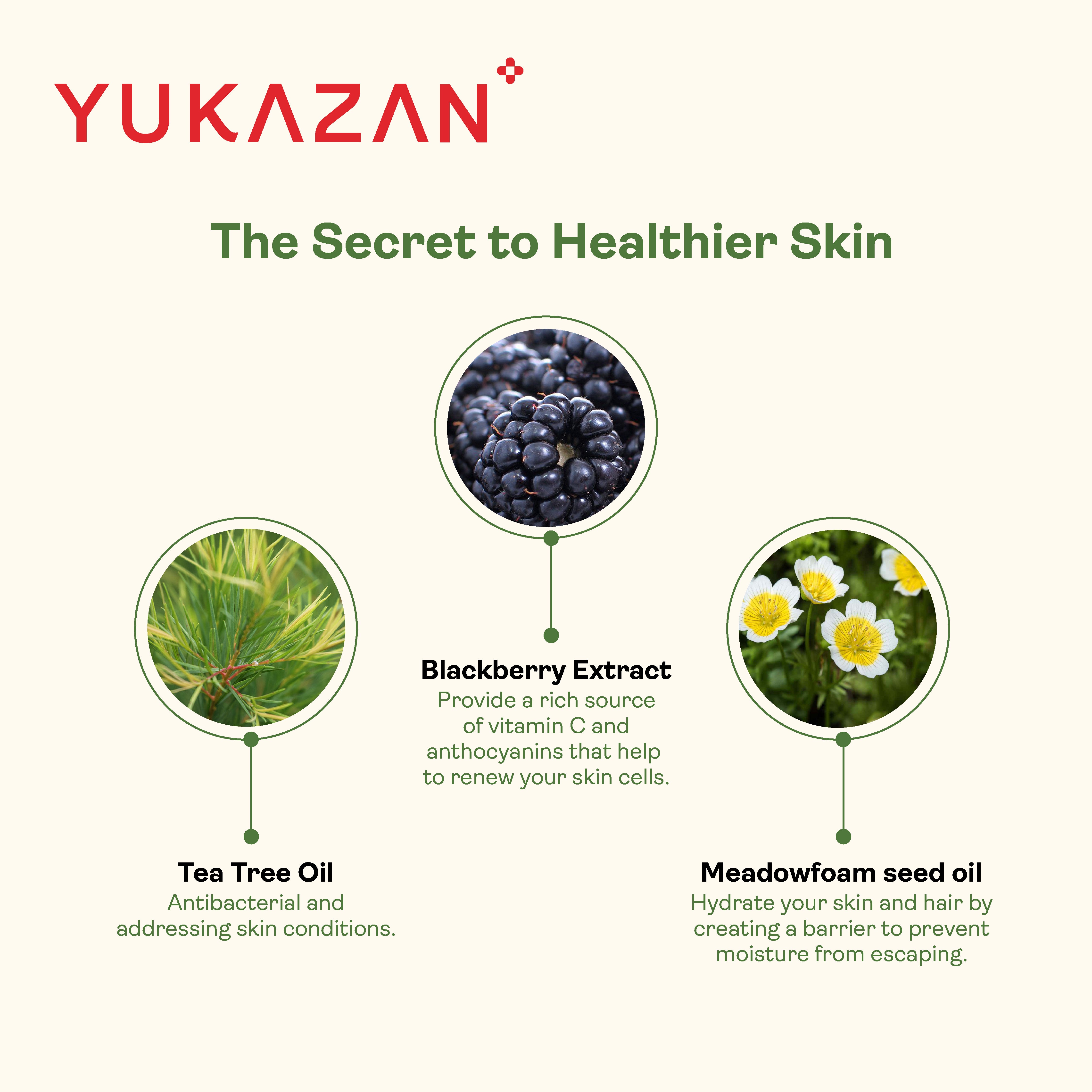 Yukazan Lime Basil Body Wash 850ml Shower Foam / Antibacterial and Alcohol Free / Body Shampoo